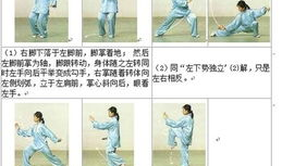 太极拳24式慢动作视频教学,太极拳24式慢动作教学概述